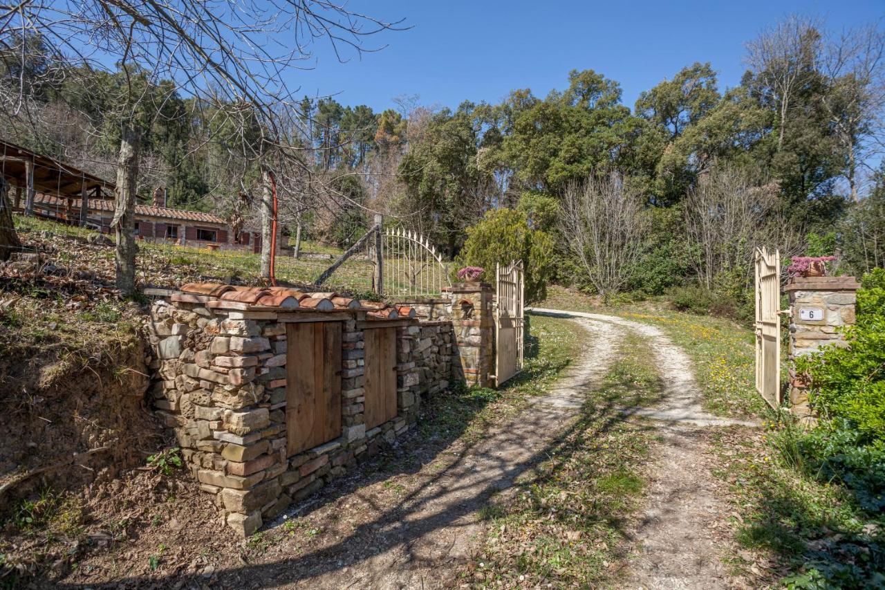 Casa Nel Bosco Villa Sassetta Kültér fotó