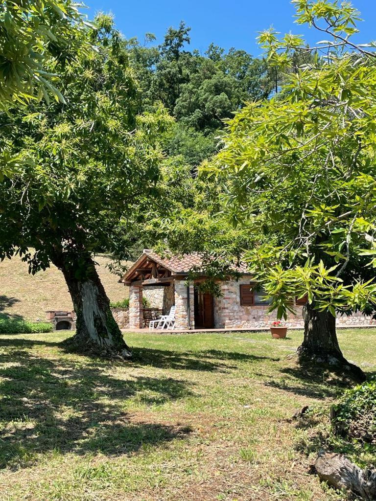 Casa Nel Bosco Villa Sassetta Kültér fotó
